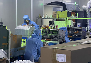 Testing-Muze Packaging